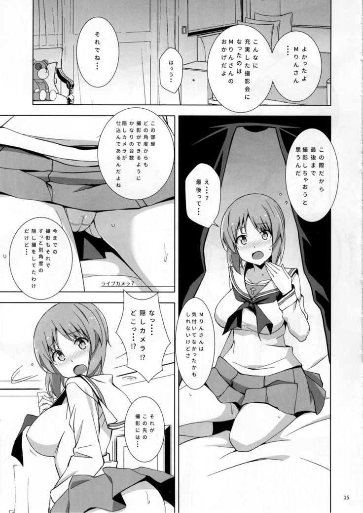 Private Miporin