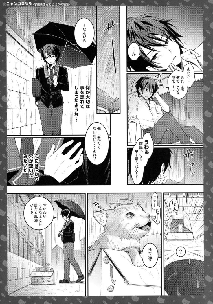 Nyancology 5 -Usami-san to Himitisu no Misshitsu-