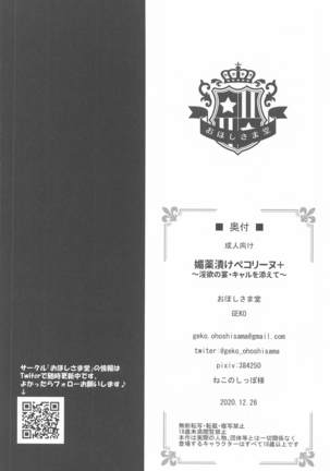 Biyakuzuke Pecorine+ ~Inyoku no Utage Kyaru o Soete~ (Princess Connect! Re:Dive)[Chinese]【不可视汉化】 - Page 18