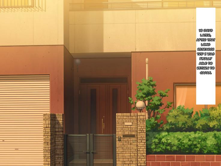 Boku no Tsuma no CG Shuu | My Wife's CG Collection