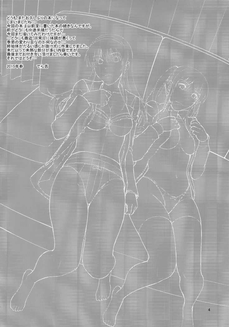 Sister Crisis 03