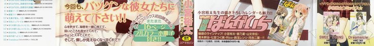 Candy Puff Shokai Genteiban + Mini Gashuu