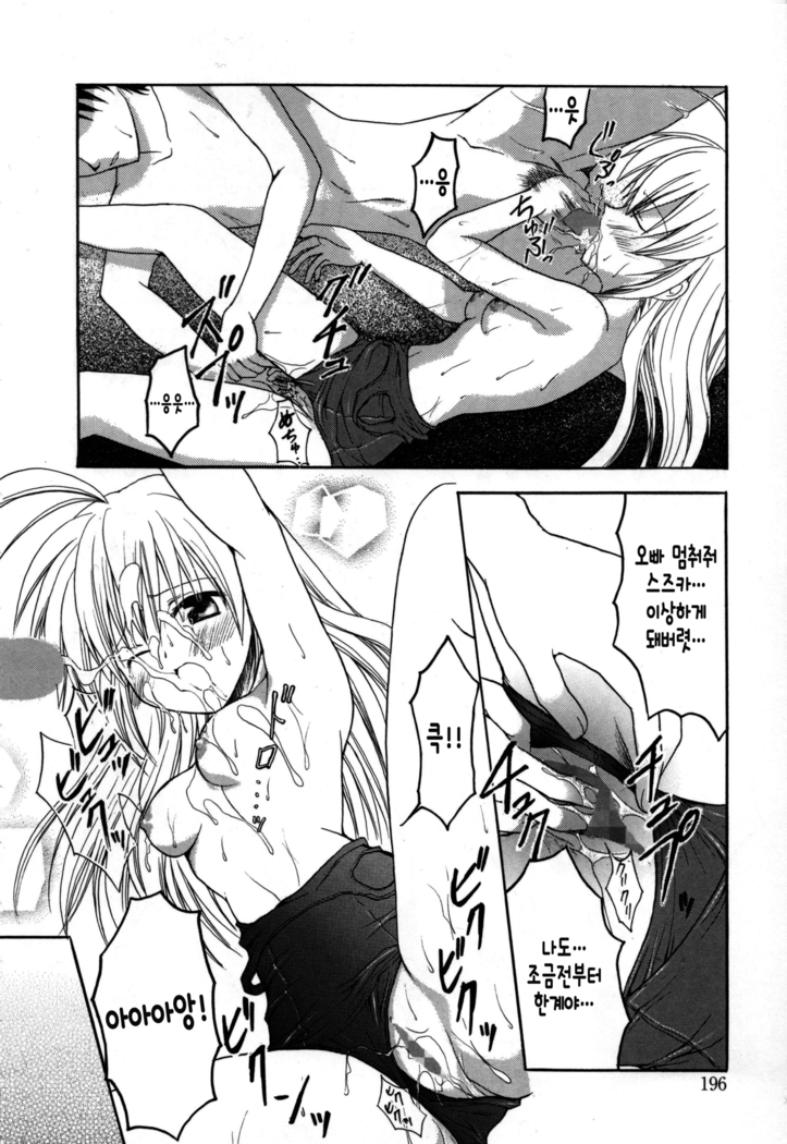 Candy Puff Shokai Genteiban + Mini Gashuu