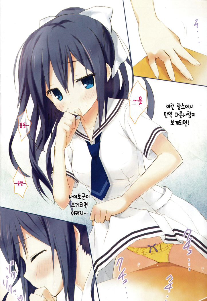 Candy Puff Shokai Genteiban + Mini Gashuu