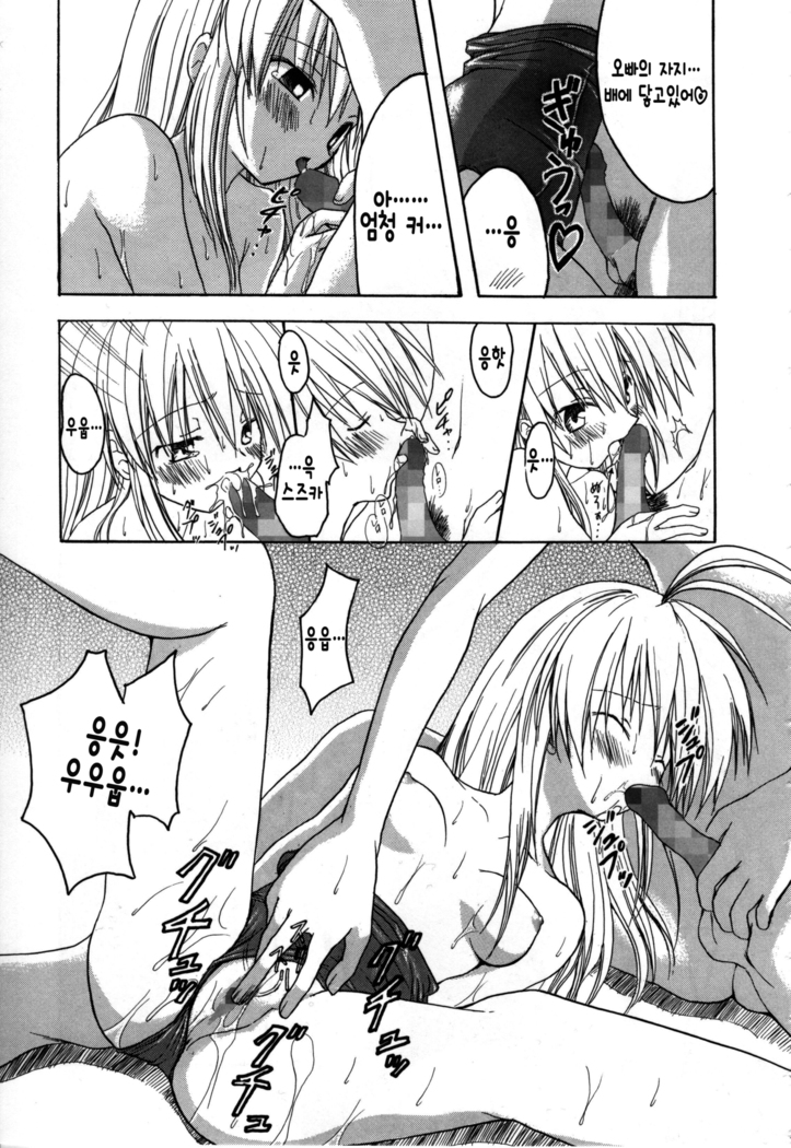 Candy Puff Shokai Genteiban + Mini Gashuu
