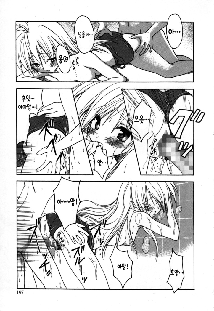 Candy Puff Shokai Genteiban + Mini Gashuu