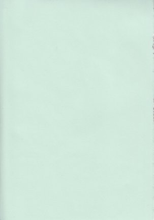 Candy Puff Shokai Genteiban + Mini Gashuu Page #209