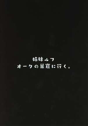 姉妹ルフオークの巣窟に行く。 Page #18