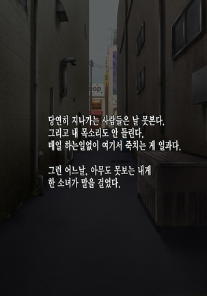 Image 2879439