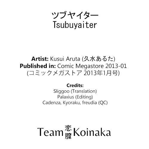 Tsubuyaiter