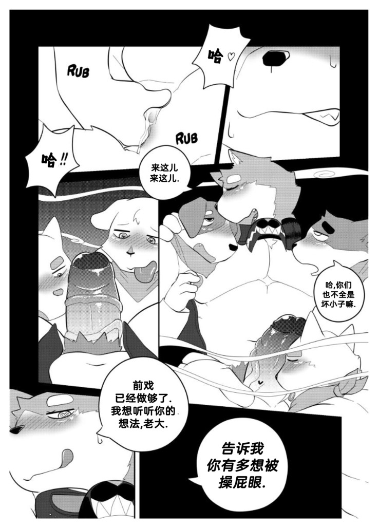 Killer Whale & Niterite 2