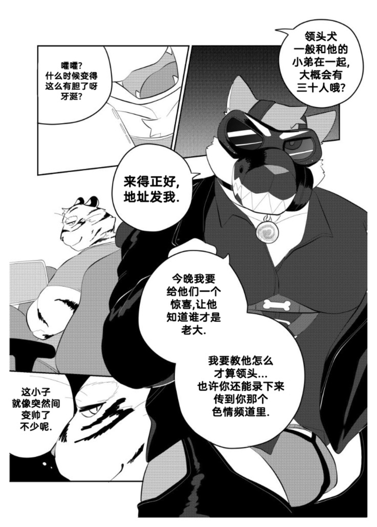 Killer Whale & Niterite 2