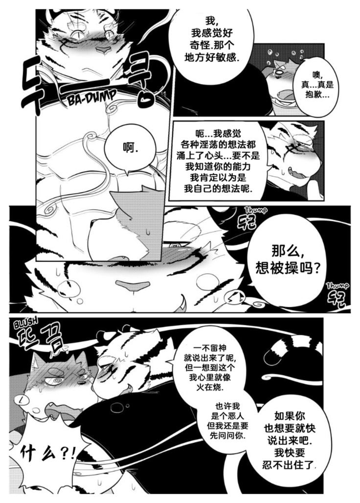 Killer Whale & Niterite 2