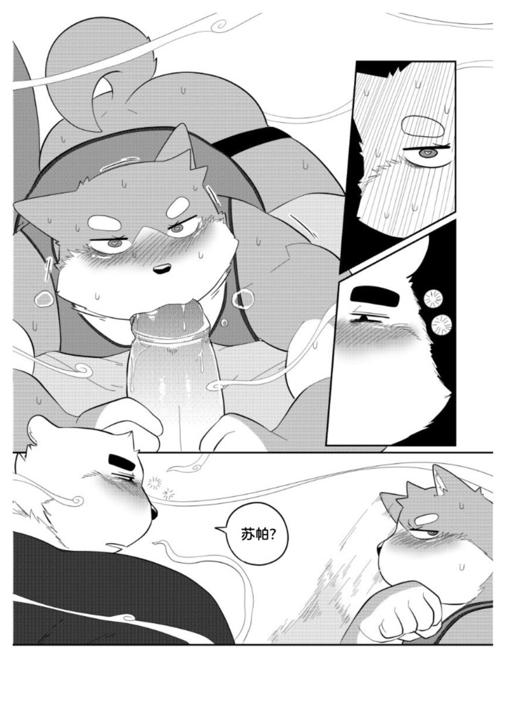 Killer Whale & Niterite 2