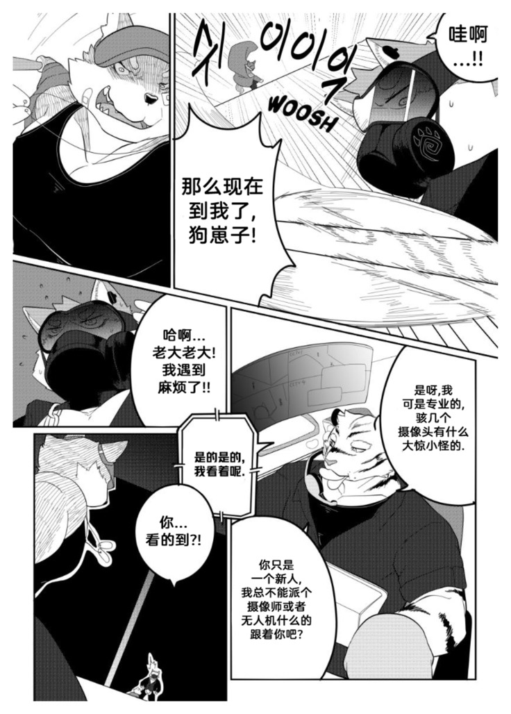 Killer Whale & Niterite 2