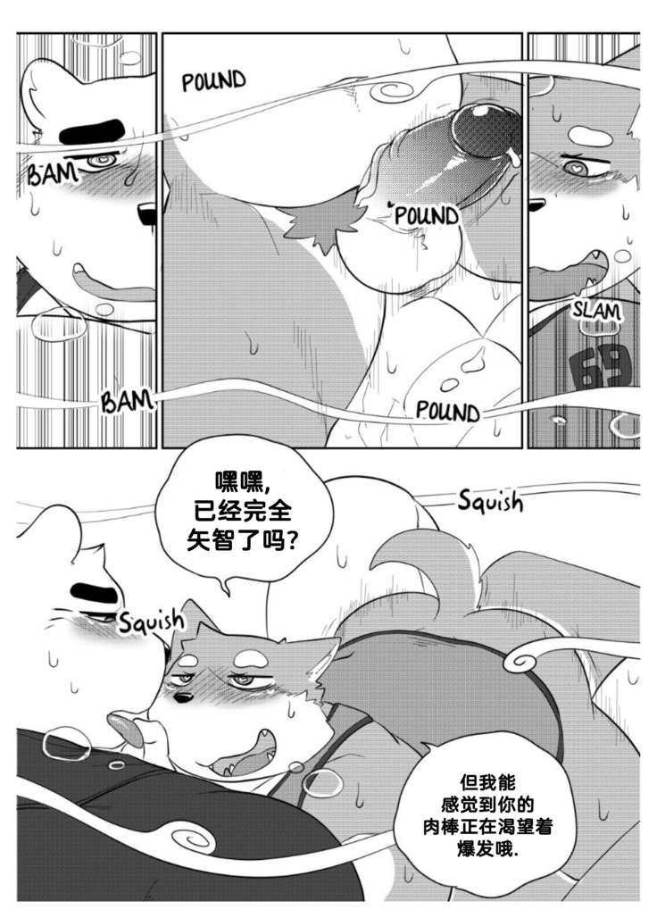 Killer Whale & Niterite 2