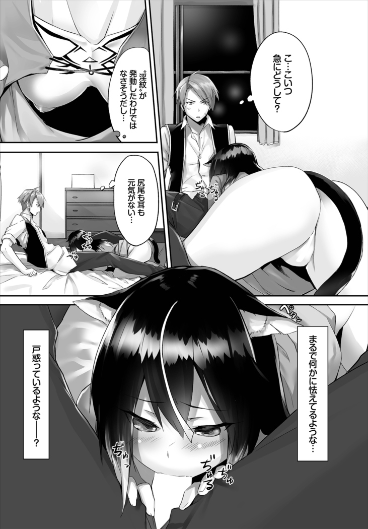 Dascomi Vol.3