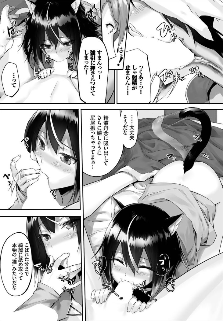 Dascomi Vol.3