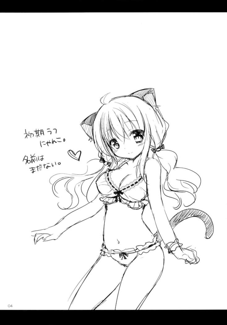 Nyanko o Tasuketara Yome ga Kita Ken ni Tsuite