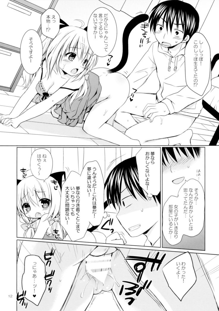 Nyanko o Tasuketara Yome ga Kita Ken ni Tsuite