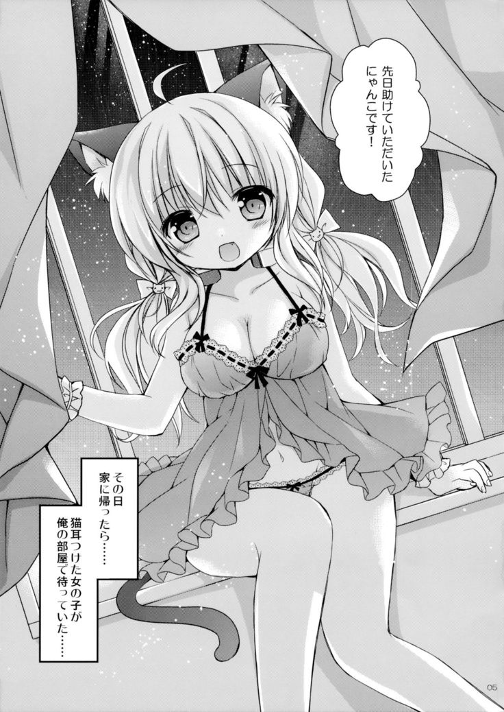 Nyanko o Tasuketara Yome ga Kita Ken ni Tsuite