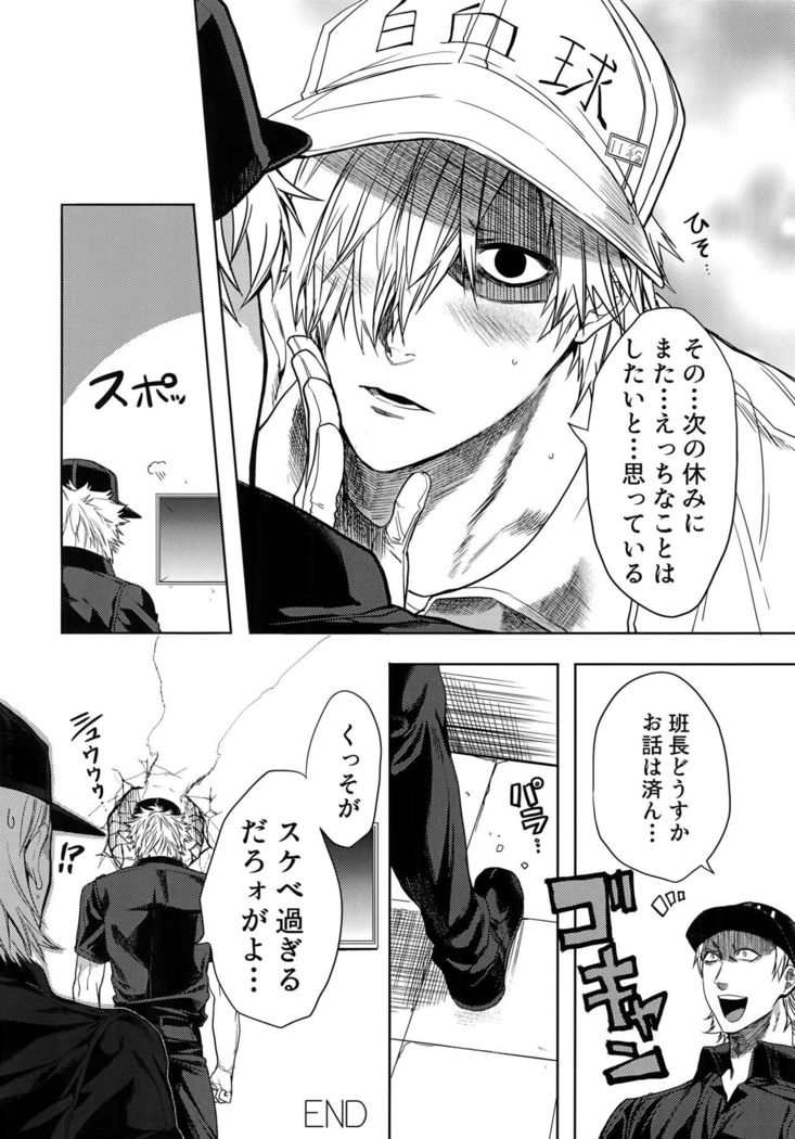 Leucocyte no Fuan Zairyou