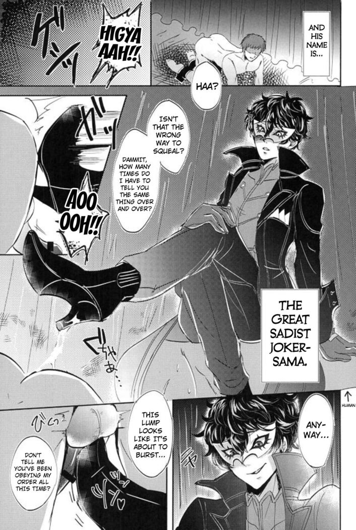 JOKER Refle