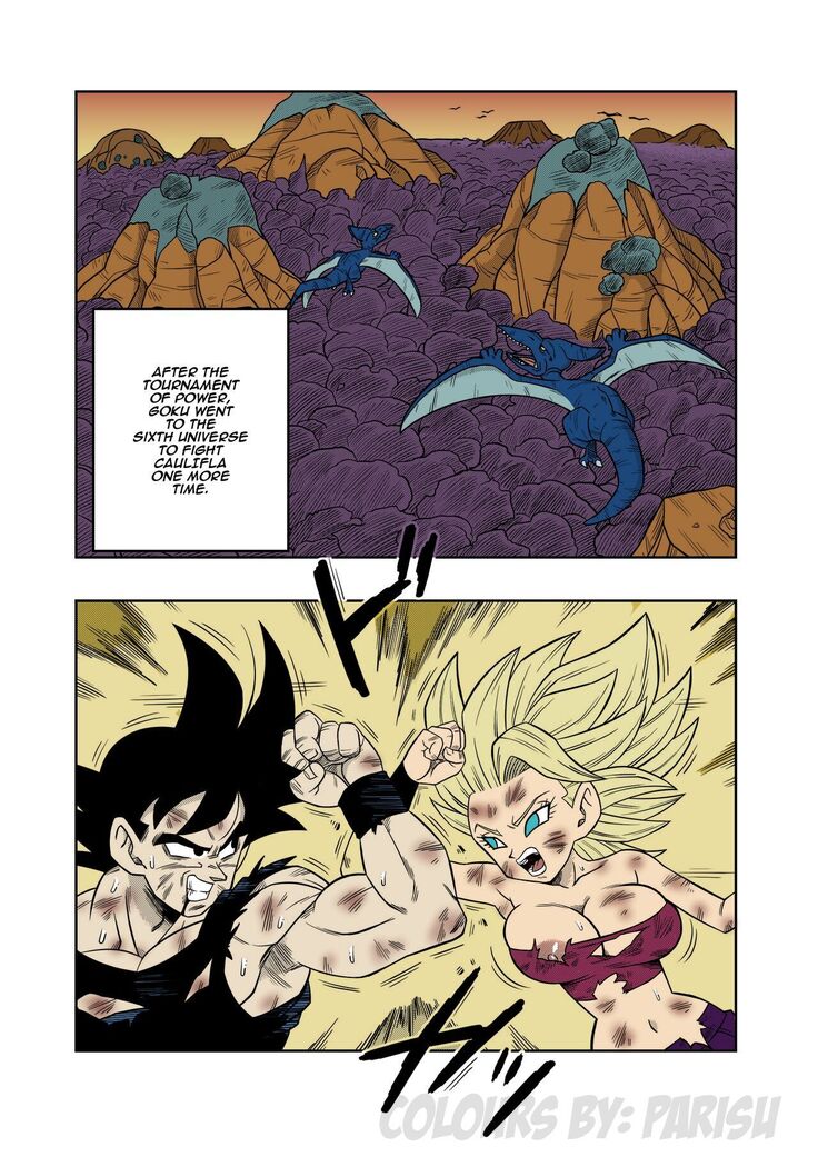 Fight in the 6th Universe!!!