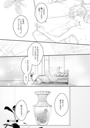 Tennen Jufun Sugar Baby Page #86