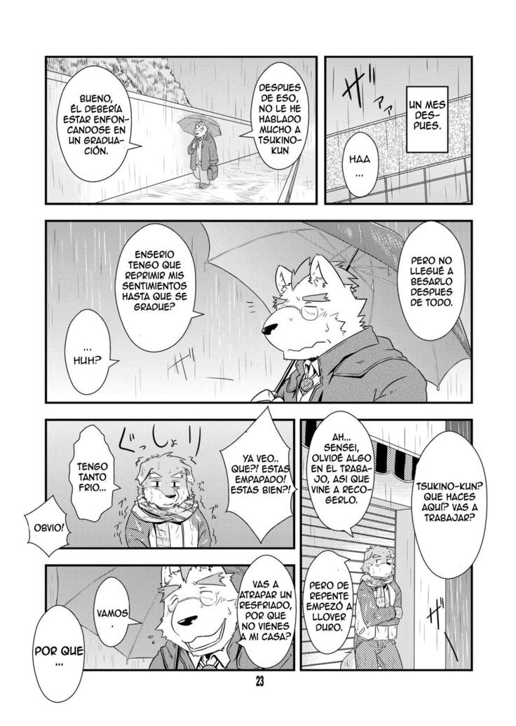 Shiroi Koibito
