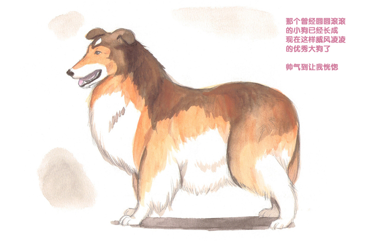 Himitsu no Inukko Club Sweet - Secret Puppy Club Sweet