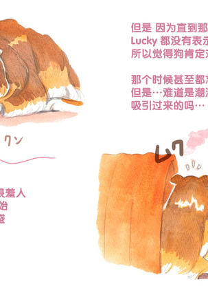 Himitsu no Inukko Club Sweet - Secret Puppy Club Sweet Page #78