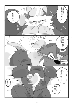 Kemonodakara Shikatanai! Page #17