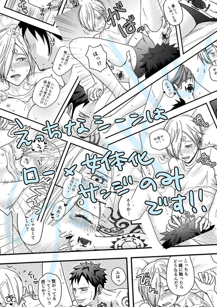3/ 31 GLC 14 shinkan sanpuru  sample