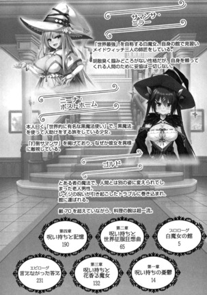 メイド in ウィッチライフ! Page #16
