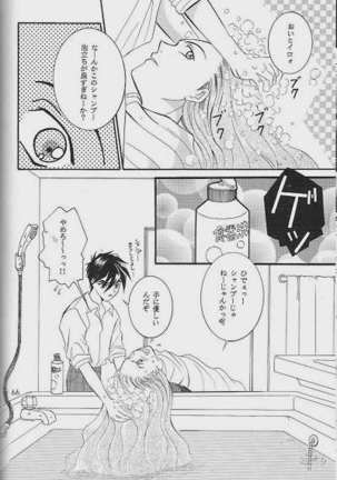 RP-03 - Page 64