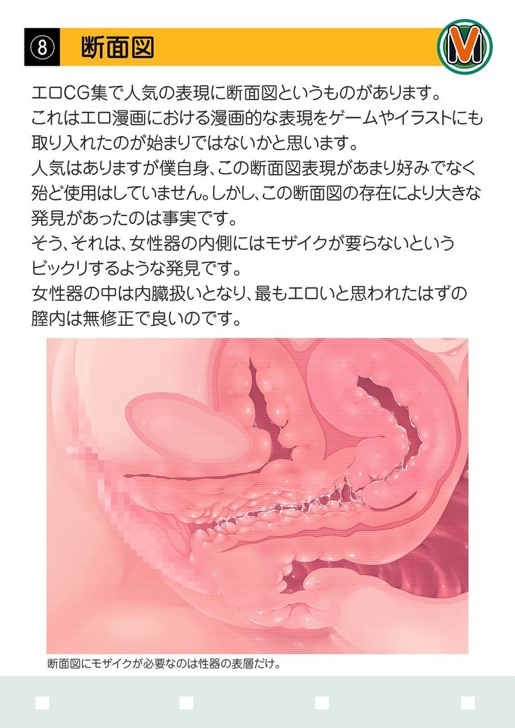 モザイク研究発表