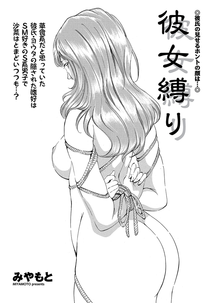 WEB Bazooka Vol.6