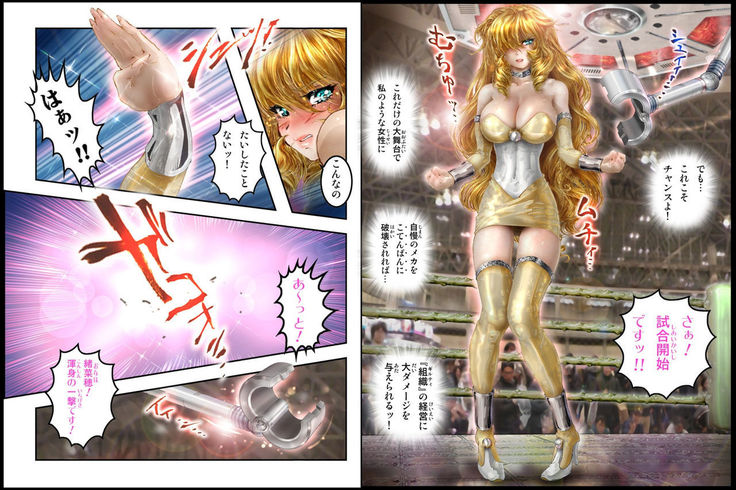 美少女ファイターオナホ 緒菜穂 徹底凌辱編
