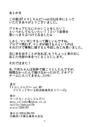 Mess Zylinder Vol. 03 PreCure no Iru Chou Koukyuu Fuuzokuten Series + Rakugaki Bon - Page 18