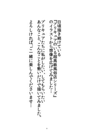 Mess Zylinder Vol. 03 PreCure no Iru Chou Koukyuu Fuuzokuten Series + Rakugaki Bon - Page 4
