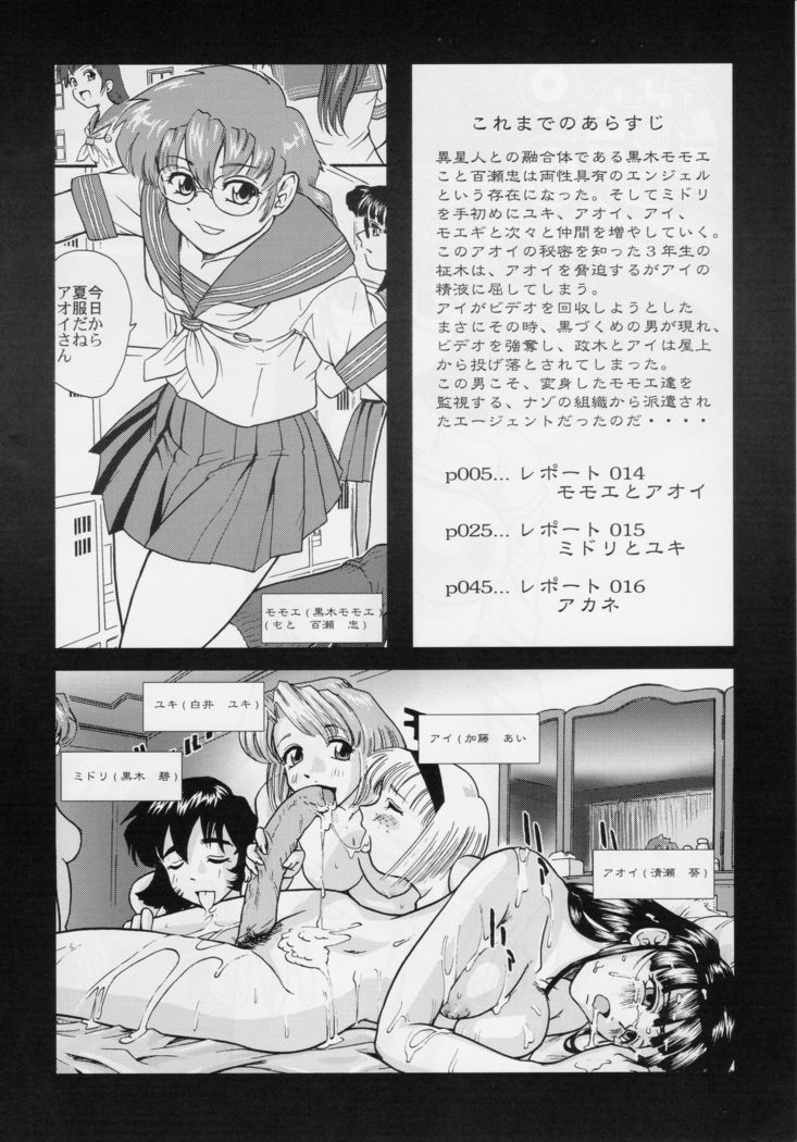 Dulce Report 5