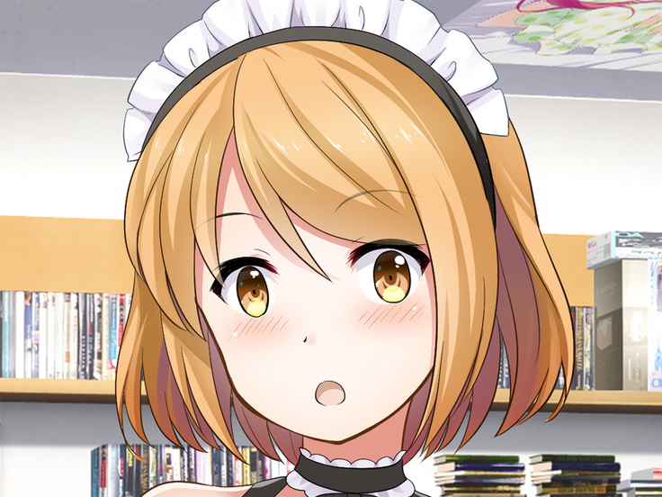 地味JKコスプレイヤーを神コスプレイヤーにして専属エロ奴隷にしてみた
