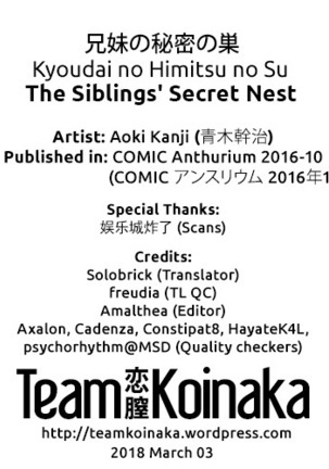 Kyoudai no Himitsu no Su | The Siblings' Secret Nest Page #19