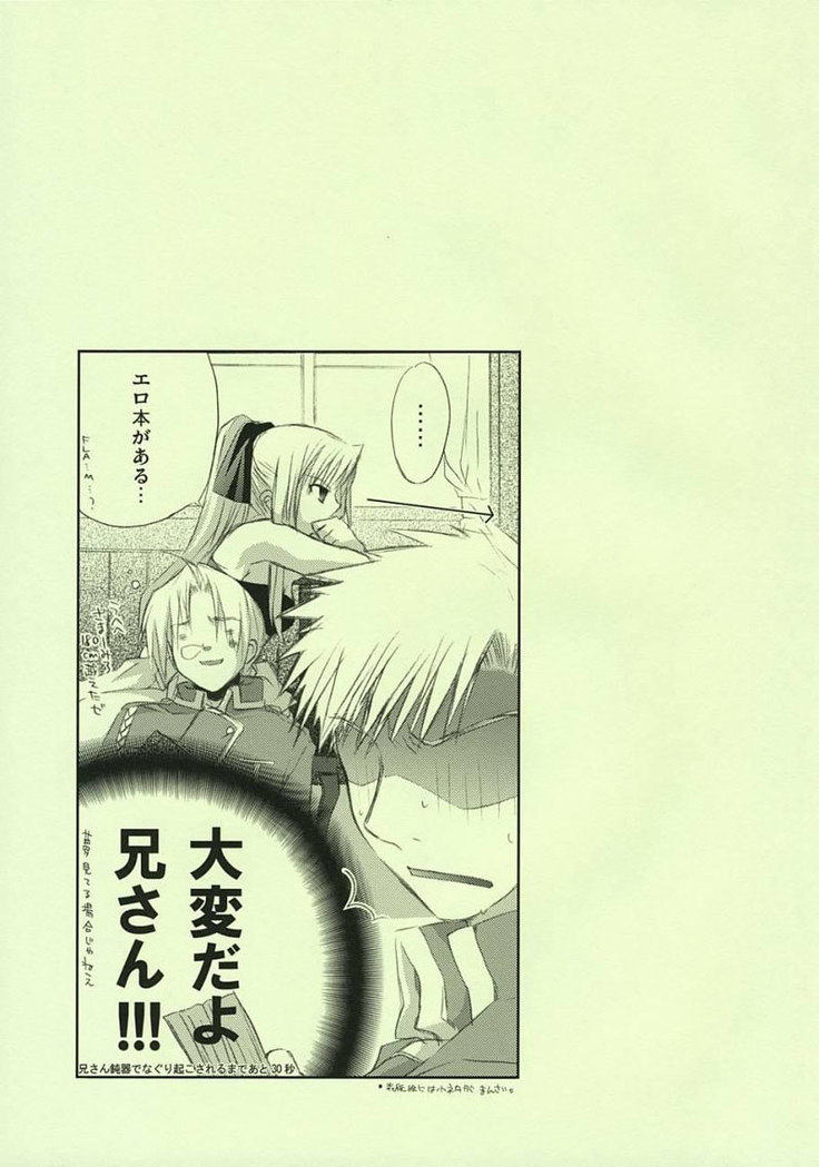 Fullmetal Alchemist - Fragment of Future
