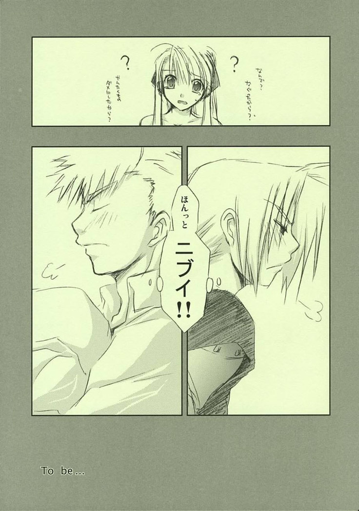 Fullmetal Alchemist - Fragment of Future