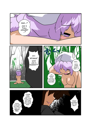 Touhou TS Monogatari ~Letty-Hen~ - Page 17