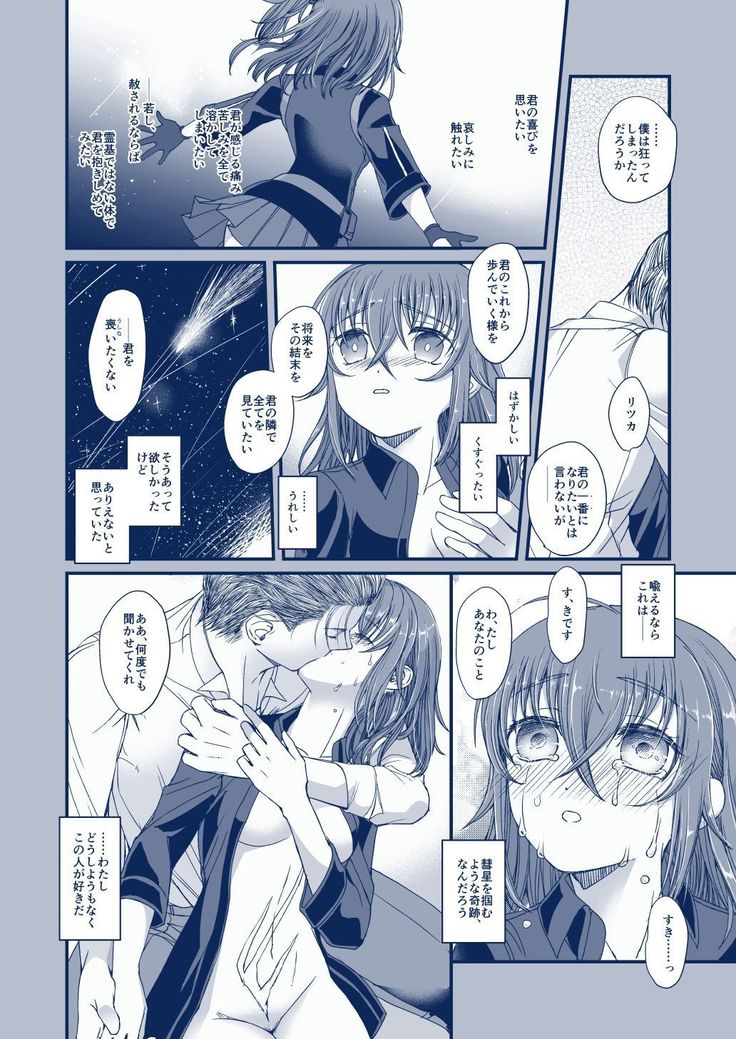 彗星を掴んだ日