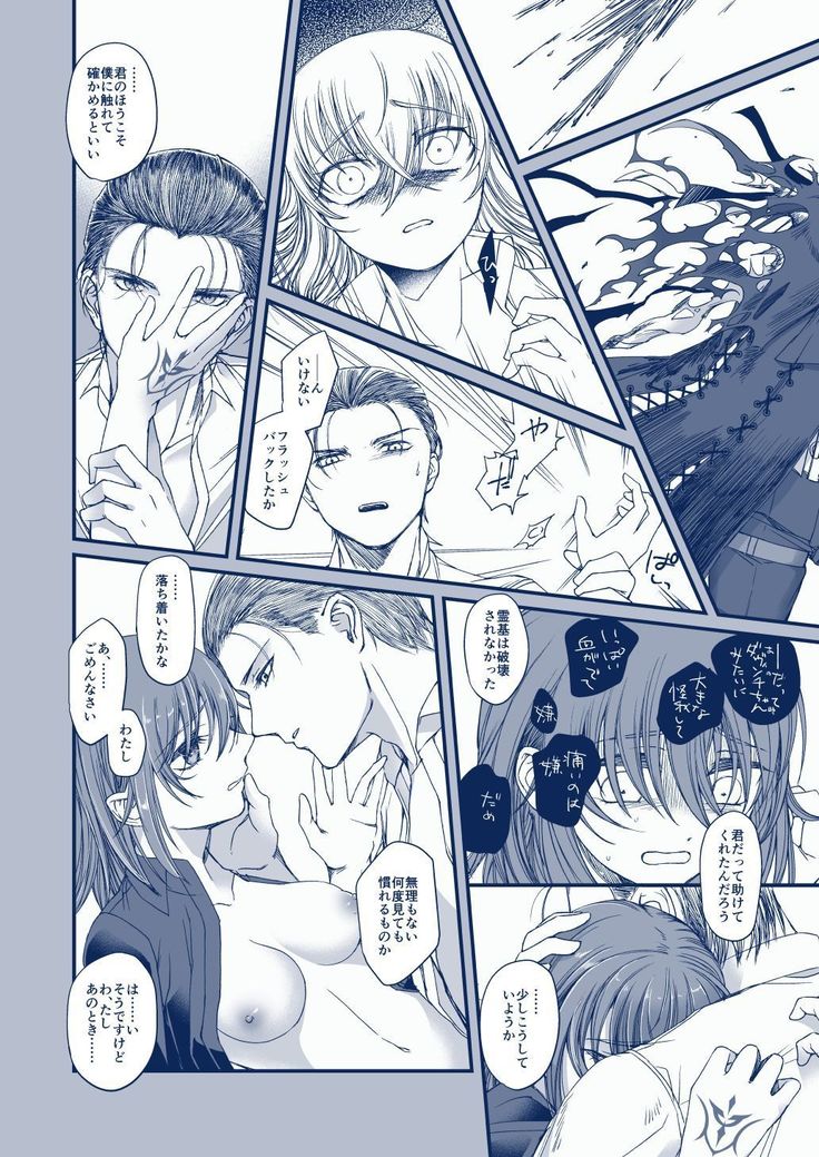 彗星を掴んだ日