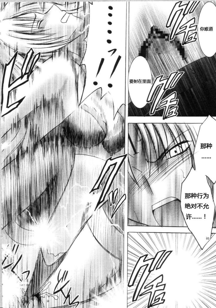 Sephiria Hard Soushuuhen
